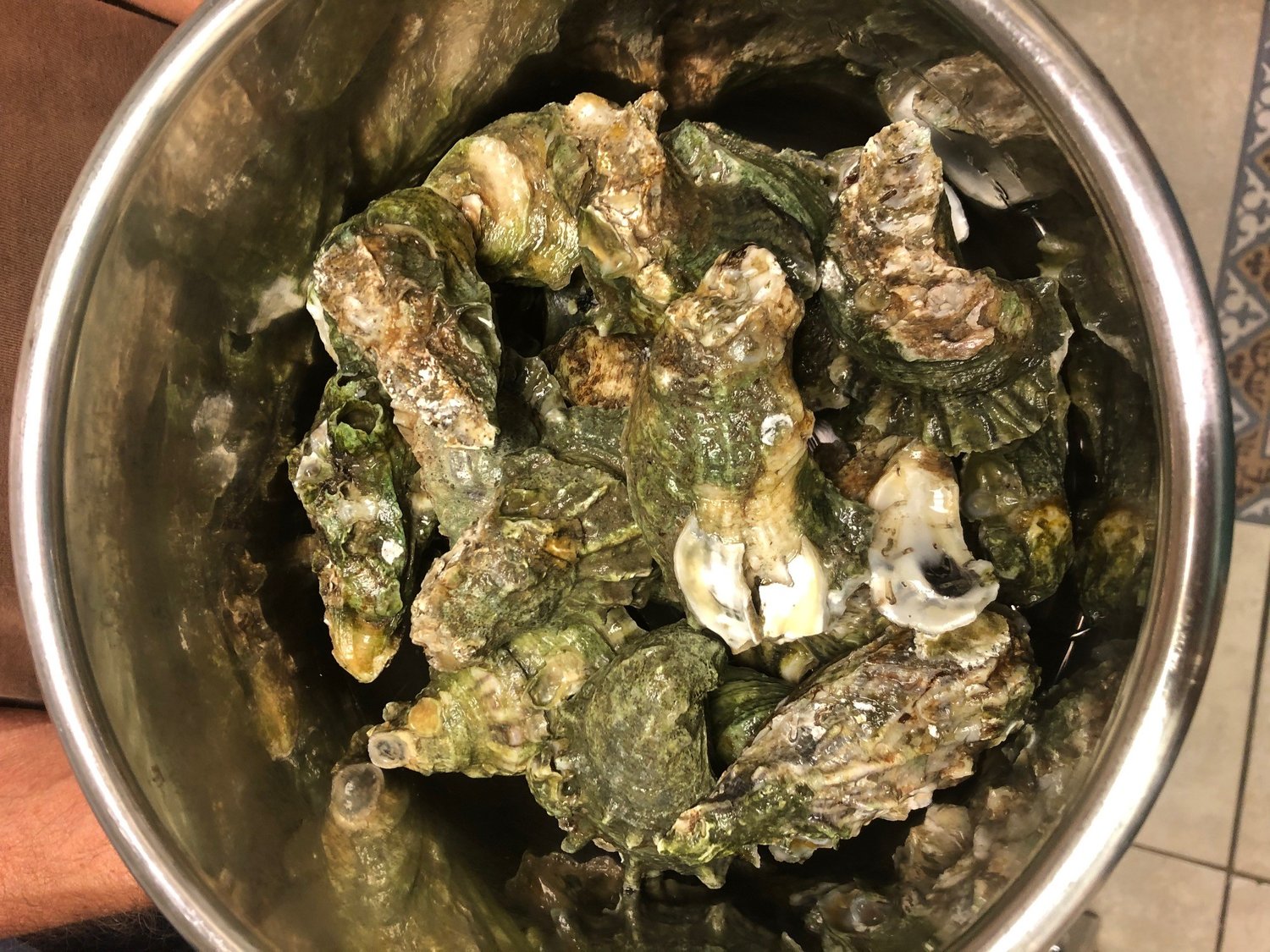 Steamed Seafood in the Instant Pot